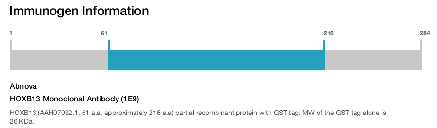 HOXB13 Monoclonal Antibody (1E9)