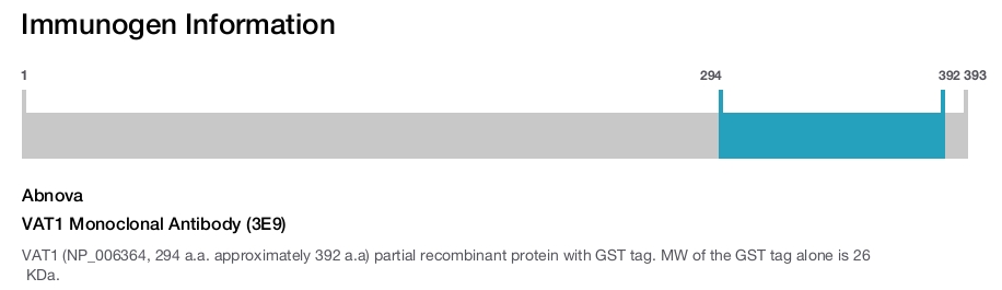 VAT1 Monoclonal Antibody (3E9)