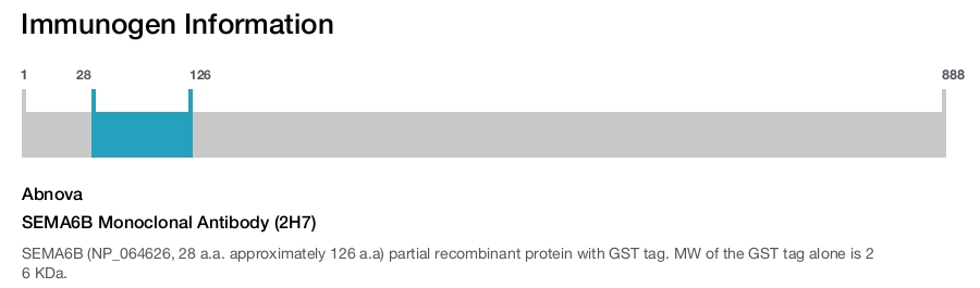 SEMA6B Monoclonal Antibody (2H7)