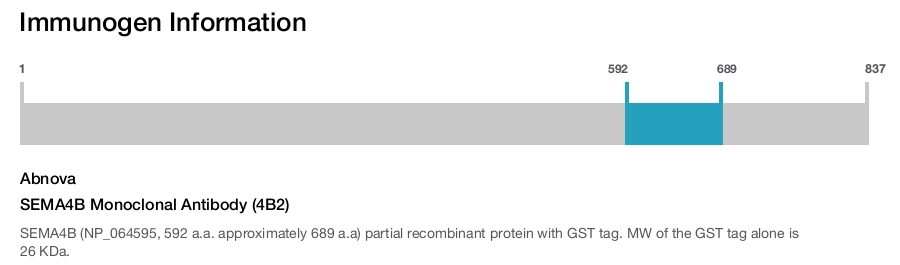 SEMA4B Monoclonal Antibody (4B2)