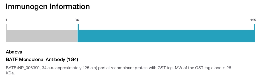 BATF Monoclonal Antibody (1G4)