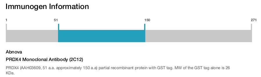 PRDX4 Monoclonal Antibody (2C12)