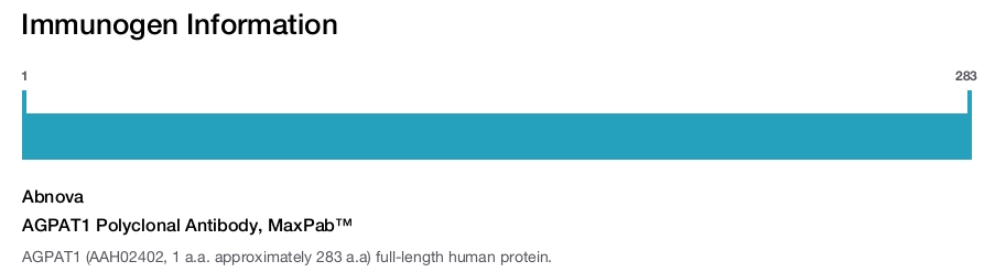 AGPAT1 Polyclonal Antibody, MaxPab™