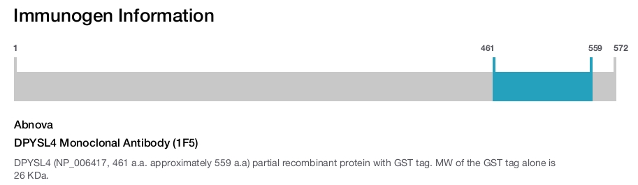 DPYSL4 Monoclonal Antibody (1F5)