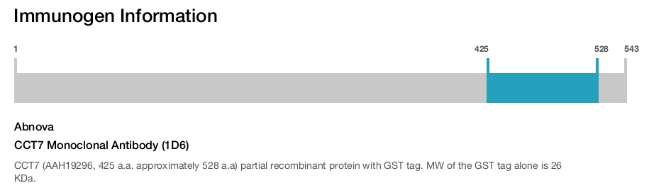 CCT7 Monoclonal Antibody (1D6)