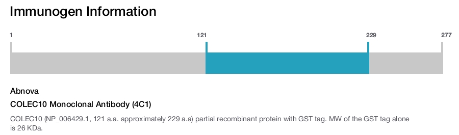 COLEC10 Monoclonal Antibody (4C1)