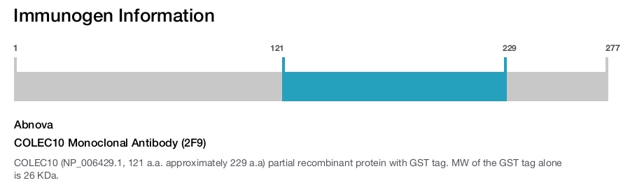 COLEC10 Monoclonal Antibody (2F9)