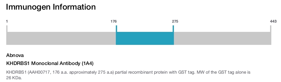 KHDRBS1 Monoclonal Antibody (1A4)
