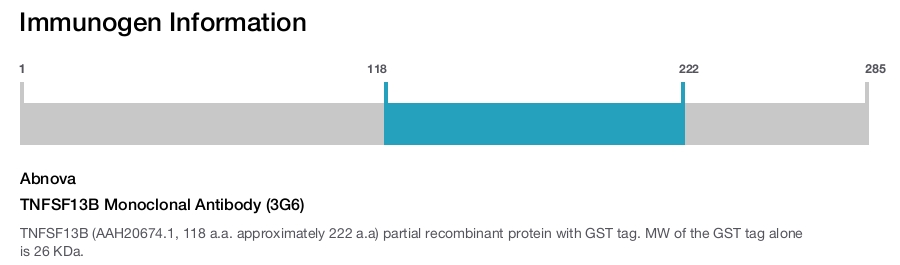 TNFSF13B Monoclonal Antibody (3G6)