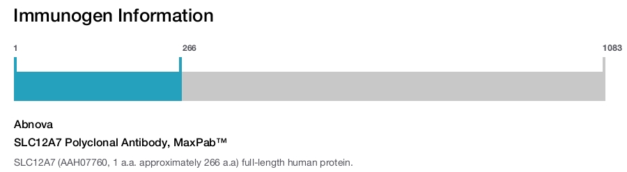 SLC12A7 Polyclonal Antibody, MaxPab™