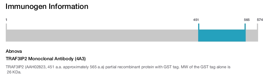 TRAF3IP2 Monoclonal Antibody (4A3)