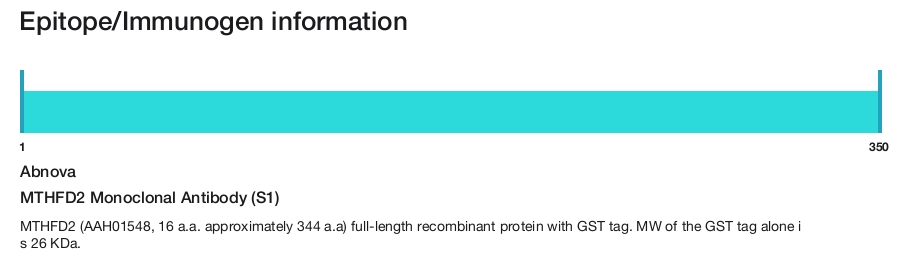 MTHFD2 Monoclonal Antibody (S1)
