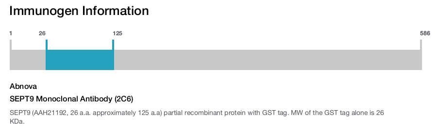 SEPT9 Monoclonal Antibody (2C6)