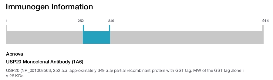 USP20 Monoclonal Antibody (1A6)