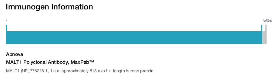 MALT1 Polyclonal Antibody, MaxPab™