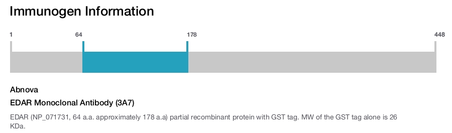 EDAR Monoclonal Antibody (3A7)