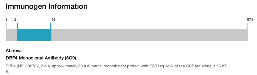 DBF4 Monoclonal Antibody (6G9)