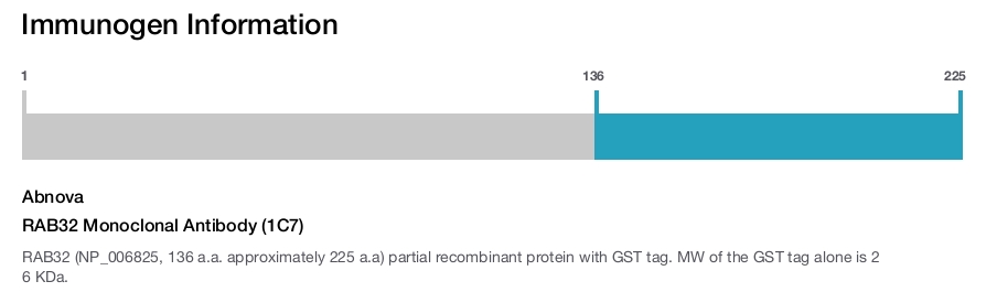 RAB32 Monoclonal Antibody (1C7)