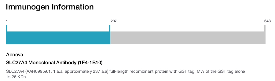 SLC27A4 Monoclonal Antibody (1F4-1B10)