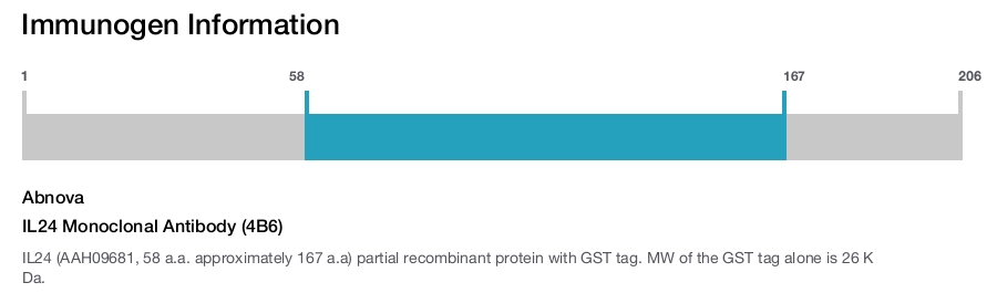 IL24 Monoclonal Antibody (4B6)
