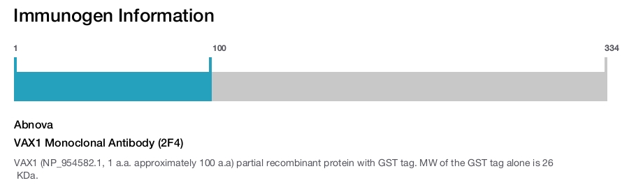 VAX1 Monoclonal Antibody (2F4)