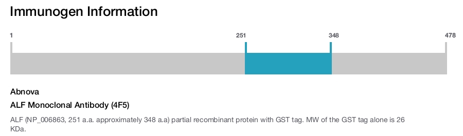 ALF Monoclonal Antibody (4F5)