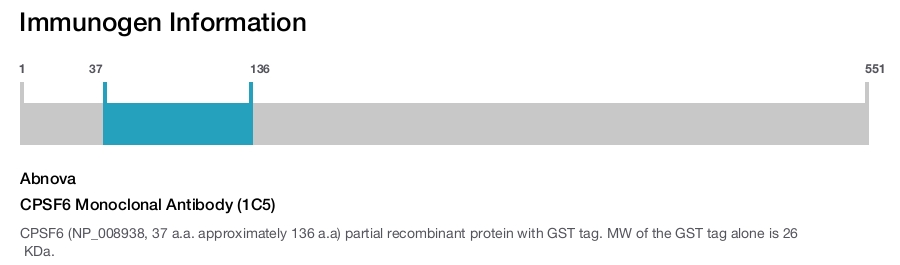 CPSF6 Monoclonal Antibody (1C5)