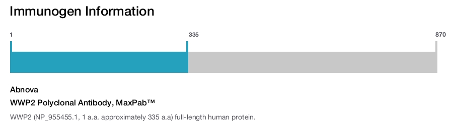WWP2 Polyclonal Antibody, MaxPab™