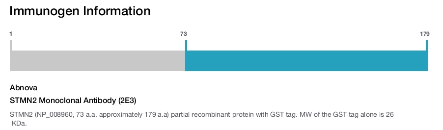 STMN2 Monoclonal Antibody (2E3)