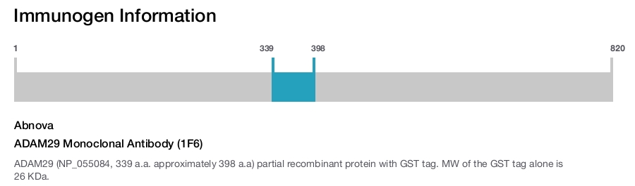 ADAM29 Monoclonal Antibody (1F6)