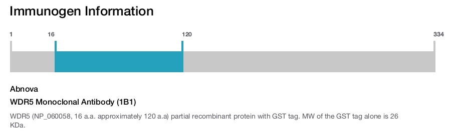 WDR5 Monoclonal Antibody (1B1)
