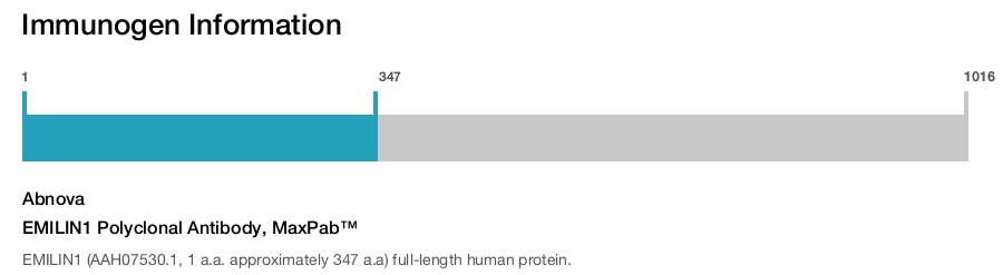 EMILIN1 Polyclonal Antibody, MaxPab™