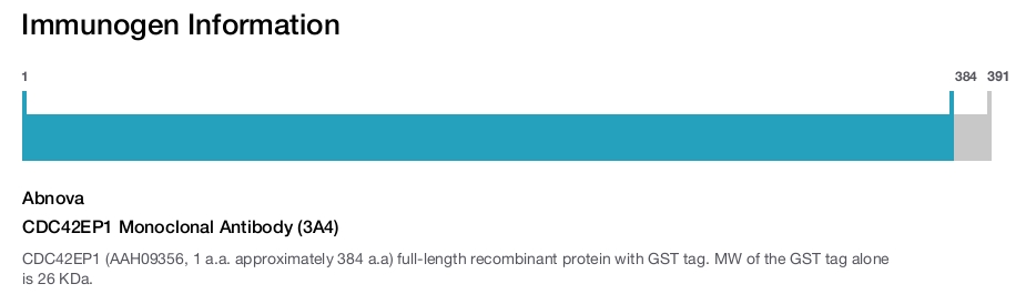 CDC42EP1 Monoclonal Antibody (3A4)