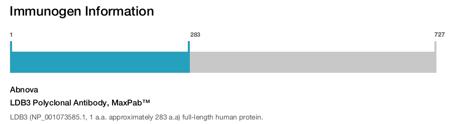 LDB3 Polyclonal Antibody, MaxPab™