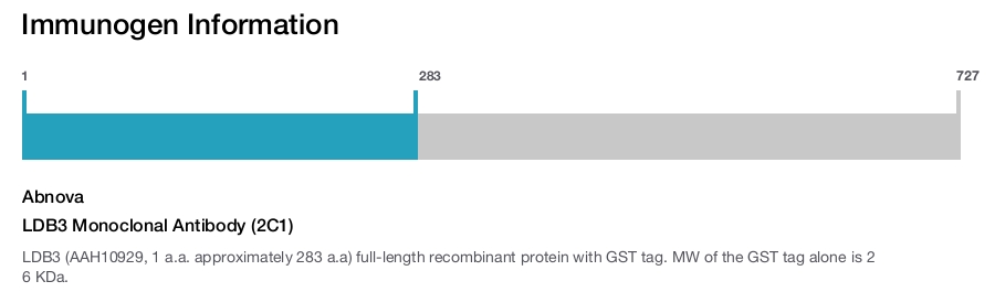 LDB3 Monoclonal Antibody (2C1)