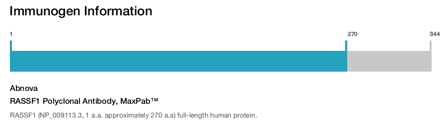 RASSF1 Polyclonal Antibody, MaxPab™
