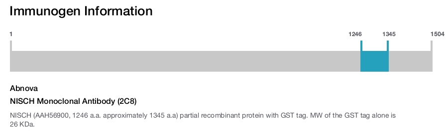 NISCH Monoclonal Antibody (2C8)
