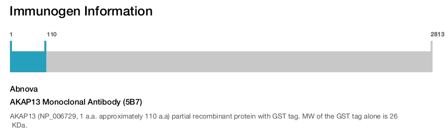 AKAP13 Monoclonal Antibody (5B7)