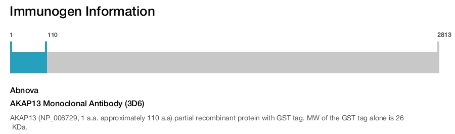 AKAP13 Monoclonal Antibody (3D6)