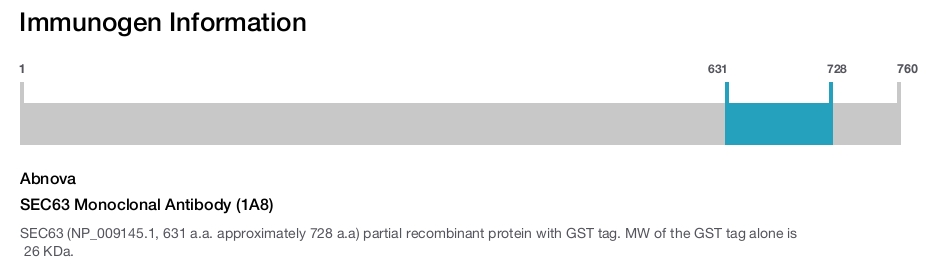 SEC63 Monoclonal Antibody (1A8)
