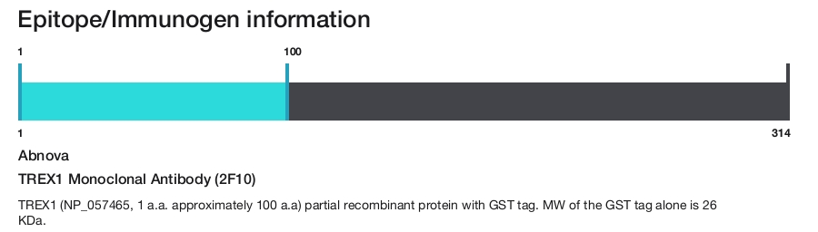 TREX1 Monoclonal Antibody (2F10)