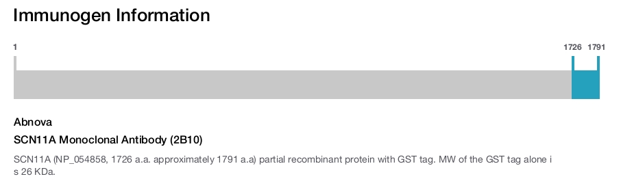 SCN11A Monoclonal Antibody (2B10)