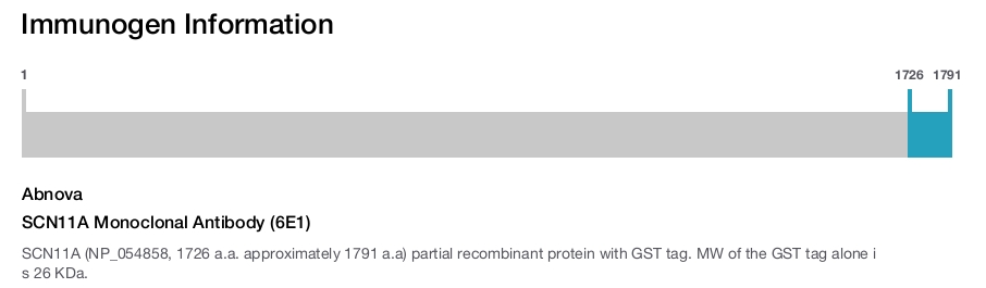 SCN11A Monoclonal Antibody (6E1)