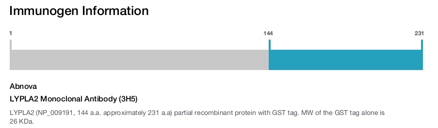 LYPLA2 Monoclonal Antibody (3H5)