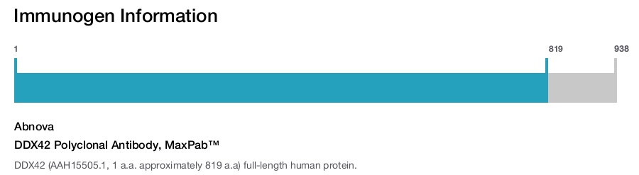 DDX42 Polyclonal Antibody, MaxPab™