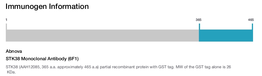 STK38 Monoclonal Antibody (6F1)
