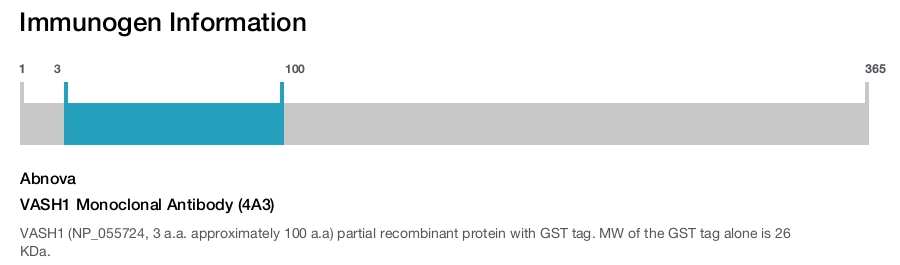 VASH1 Monoclonal Antibody (4A3)