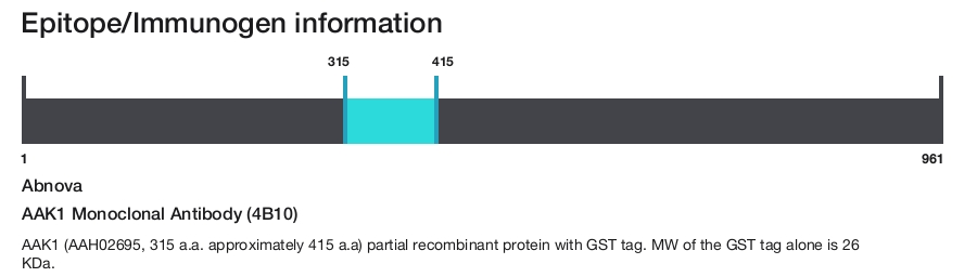 AAK1 Monoclonal Antibody (4B10)