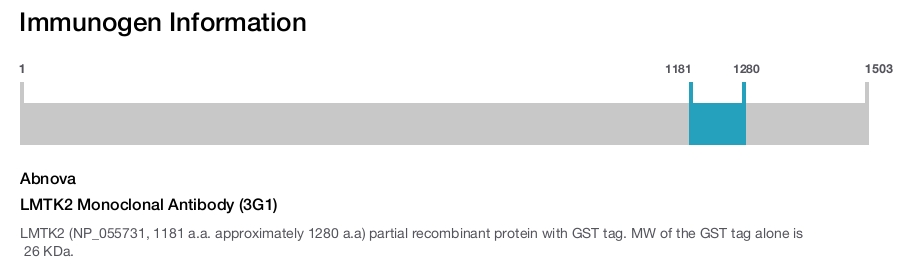LMTK2 Monoclonal Antibody (3G1)