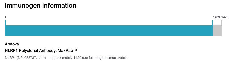 NLRP1 Polyclonal Antibody, MaxPab™